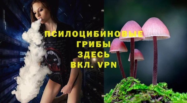 амфетамин Алексин